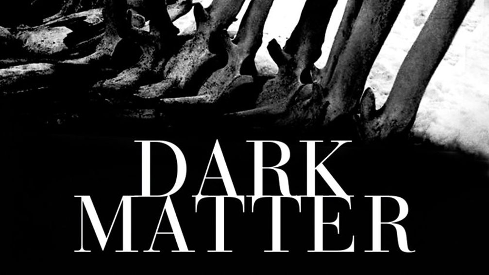 dark matter book paver